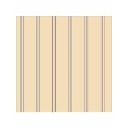 Tinycottons - Top na ramiączkach Stripes - Light cream/Iris blue