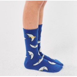 Bobo Choses - Skarpety Kids Beneath the Moon all over long socks - navy blue