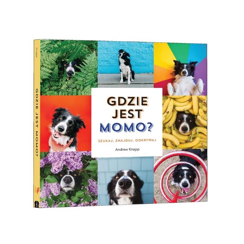 Książka - Gdzie jest Momo?